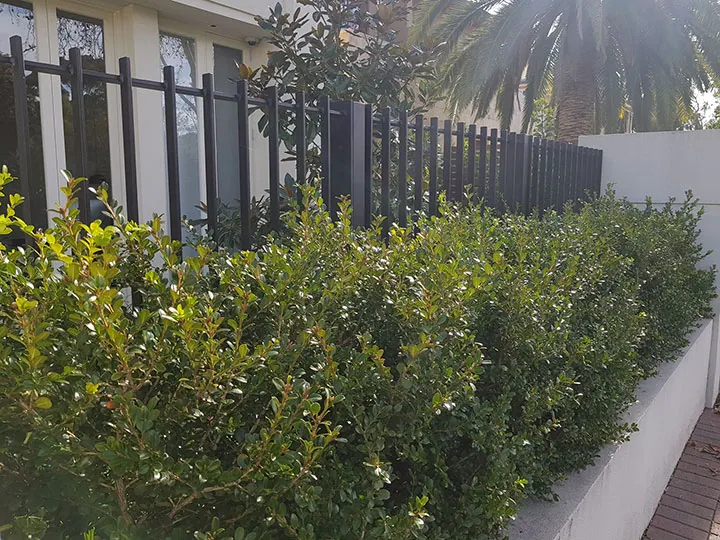 Custom black steel fence installed around a front garden